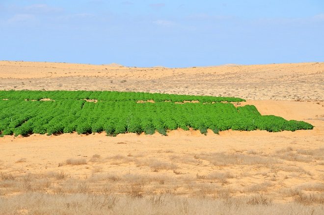 VOPA field photo