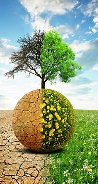 Clean Energy: Biogas and Solar for Rural Households